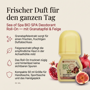 Vorteile des Sea of Spa Deo Roll-Ons: Granatapfelextrakt sorgt für einen frischen, fruchtigen Duftabschluss, Feigenextrakt pflegt die empfindliche Haut in der Achselhöhle mild, trocknet zügig und hinterlässt keine sichtbaren Spuren, kompakte 50-ml-Größe für Handtasche und Handgepäck