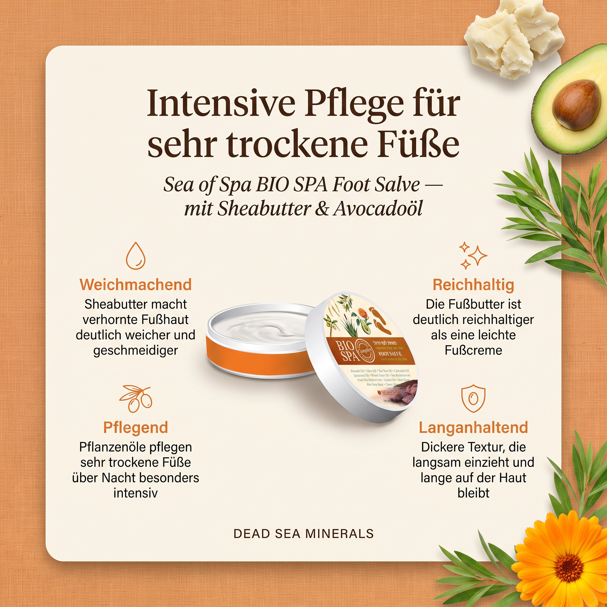 Vorteile der Sea of Spa Fußbutter: Sheabutter macht verhornte Fußhaut deutlich weicher, Pflanzenöle wie Avocado- und Jojobaöl pflegen sehr trockene Füße, dickere Textur bleibt lange auf der Haut, ideal für die intensive Pflege über Nacht