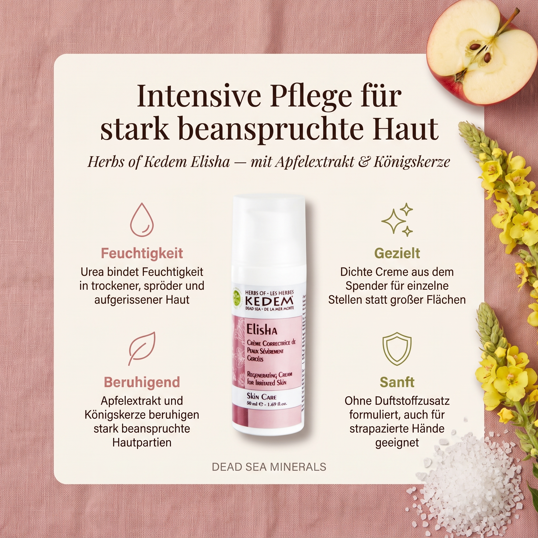 Vorteile der Kedem Pflegecreme: Urea bindet Feuchtigkeit in trockener Haut, dichte Creme für einzelne Stellen, Apfelextrakt und Königskerze beruhigen, ohne Duftstoffzusatz