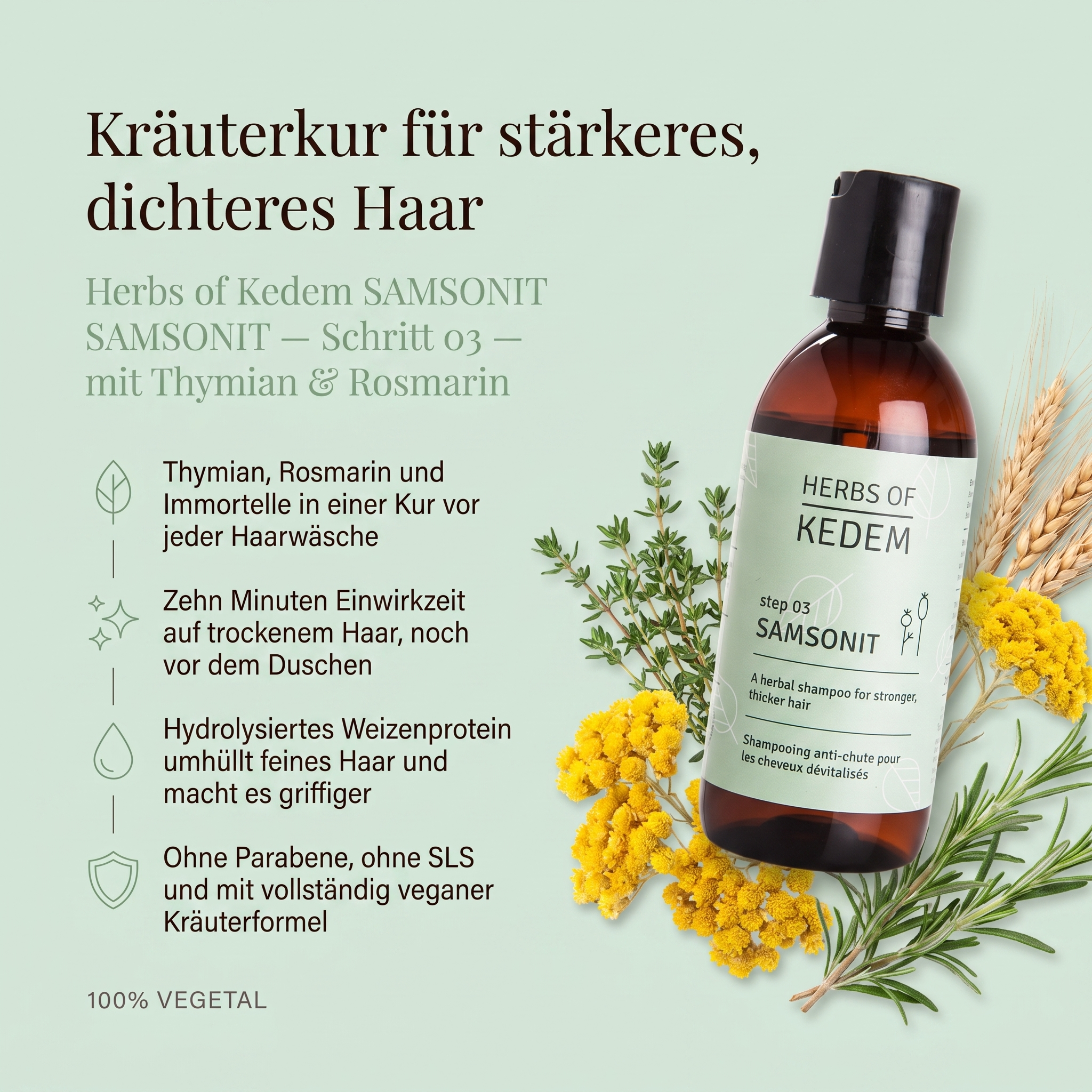 Vorteile des Kedem Kräutershampoos: Thymian, Rosmarin und Immortelle in einer Kur vor jeder Haarwäsche, zehn Minuten Einwirkzeit auf trockenem Haar, hydrolysiertes Weizenprotein macht feines Haar griffiger, ohne Parabene und SLS