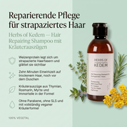 Vorteile des Kedem Aufbau-Shampoos: Weizenprotein legt sich um strapazierte Haarfasern und glättet sie sichtbar, zehn Minuten Einwirkzeit auf trockenem Haar, Kräuterauszüge aus Thymian, Rosmarin, Myrte und Immortelle, vegane Formel ohne Parabene und SLS