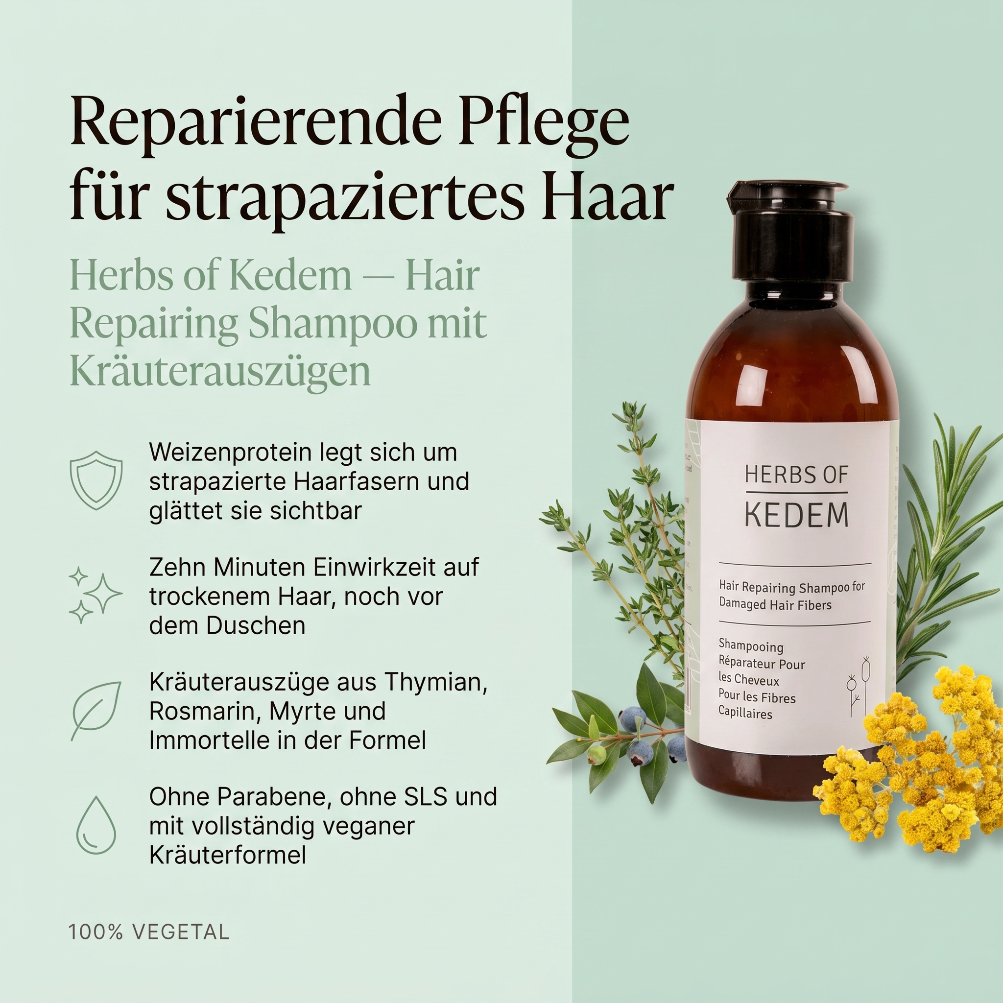 Vorteile des Kedem Aufbau-Shampoos: Weizenprotein legt sich um strapazierte Haarfasern und glättet sie sichtbar, zehn Minuten Einwirkzeit auf trockenem Haar, Kräuterauszüge aus Thymian, Rosmarin, Myrte und Immortelle, vegane Formel ohne Parabene und SLS