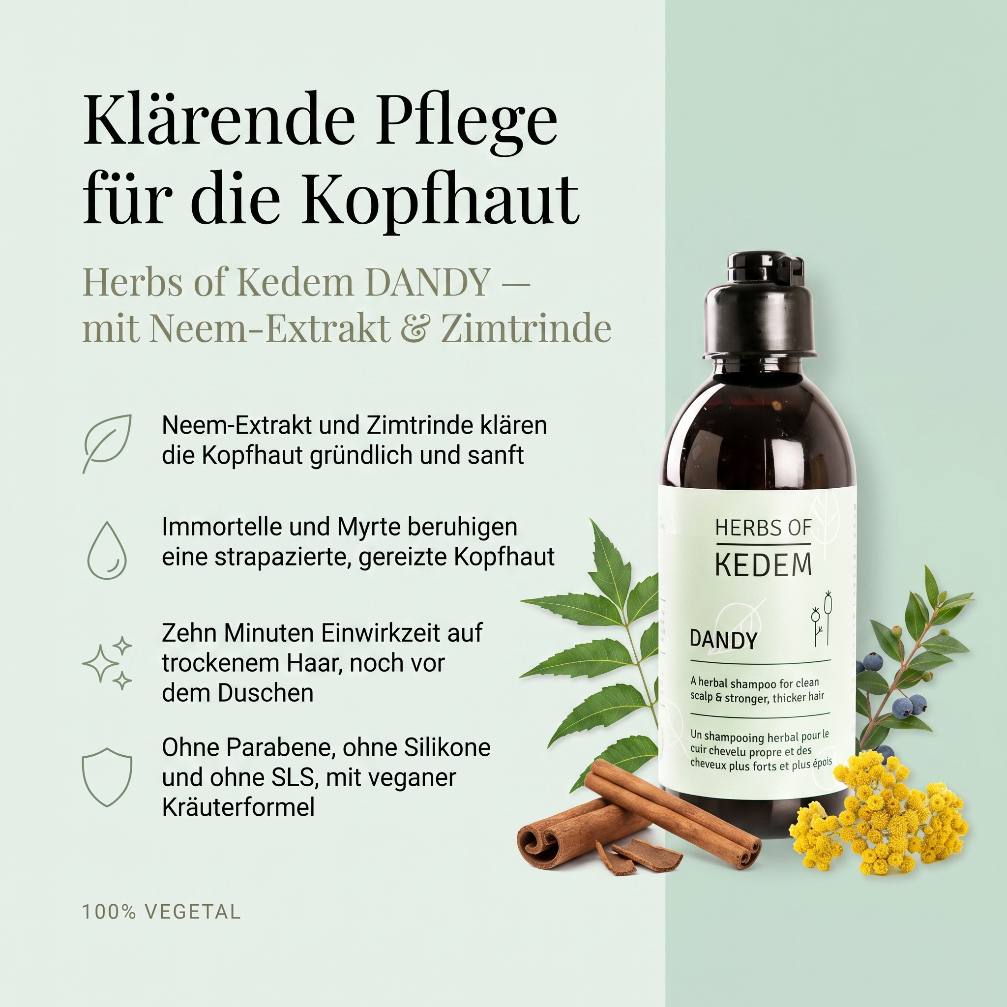 Vorteile des Kedem Shampoos: Neem-Extrakt und Zimtrinde klären die Kopfhaut gründlich und sanft, Immortelle und Myrte beruhigen eine strapazierte Kopfhaut, zehn Minuten Einwirkzeit auf trockenem Haar, ohne Parabene, Silikone und SLS