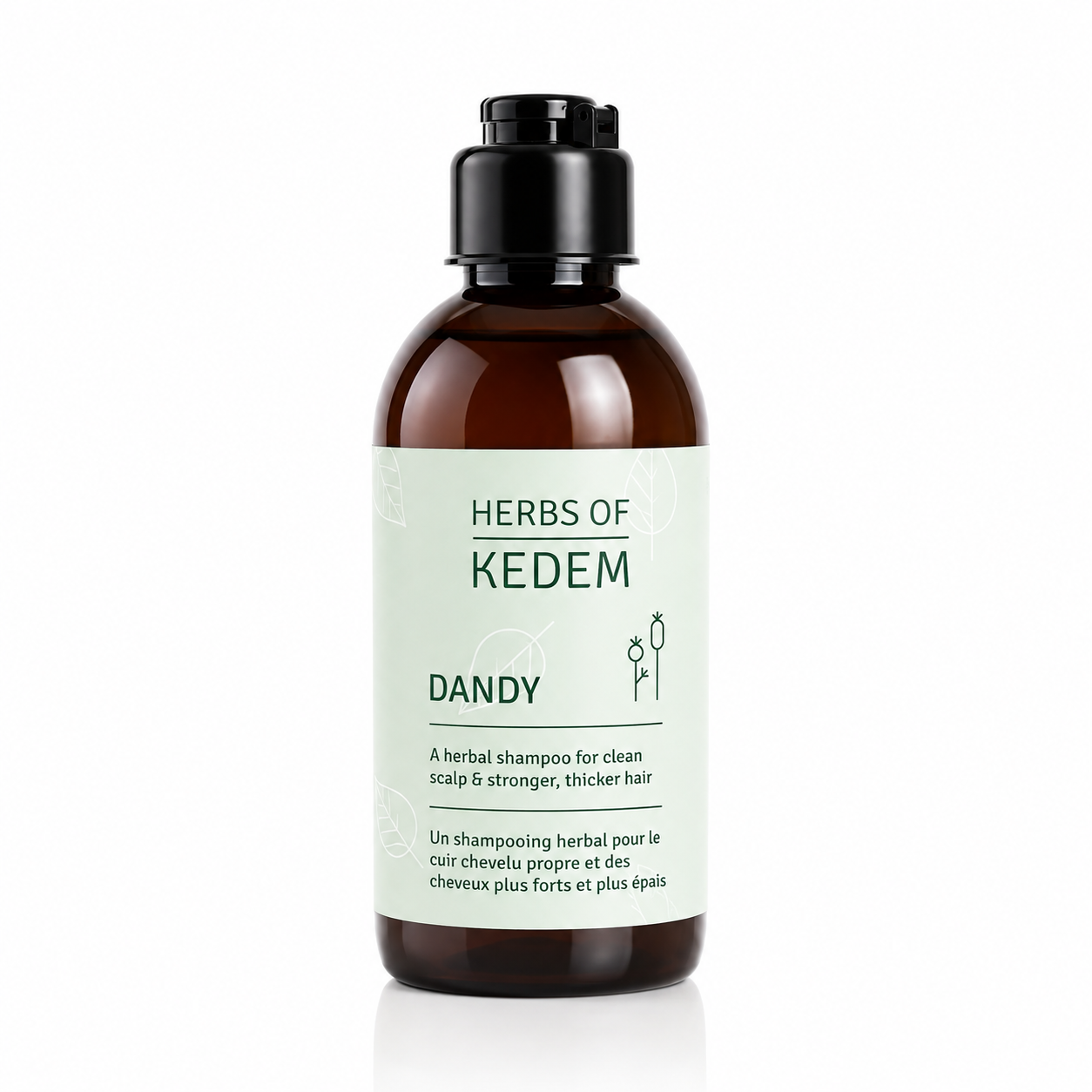 Kedem Dandy Kräutershampoo zur Kopfhautpflege mit Neem-Extrakt, Flasche 250 ml